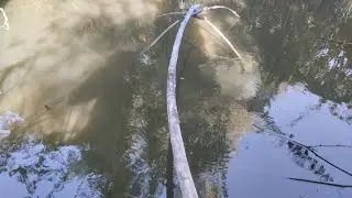 Виловлю копанку частина-1|Ловля риби на паук в свої копанці #рибалка #fishing #карась #короп