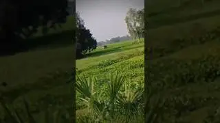 enjoy memorable time with nature...