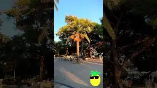 Сербия Черногория