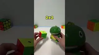 ¿Qué dinosaurio podemos resolver más rápido? 🦖