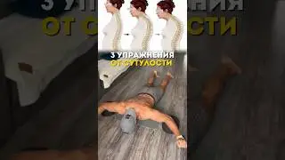 Делай так 2 раза в день и спина не будет болеть