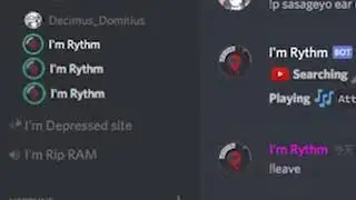 How to rythm bot in discord