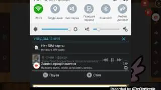 5 ночей с Фредди пони