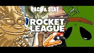 Meet Paco and Stat