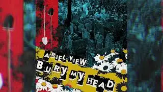Ariel View - 