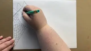 Not your typical dragon