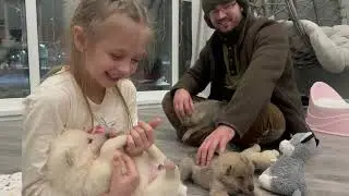 Море щенков, море удовольствий❤️ а вы любите животных ⁉️