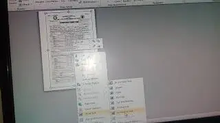 Scan and Print Form 137a