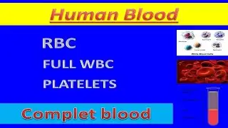 What is the Human Blood || RBC || WBC || PLATELET'S || COMPLET BLOOD || chapter ब्लड