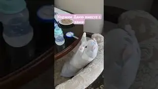 Кормим Даню вместе с вами | #Даня #детям #kvoksy