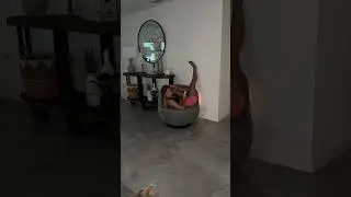 Very flexible #flexible #mom #daughter #foreverfamilyvlogs