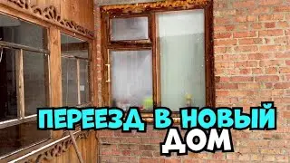 Переезд в новый дом || Новый питомец || Немецкая овчарка