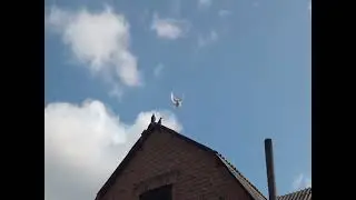 27 марта  на Полегоне