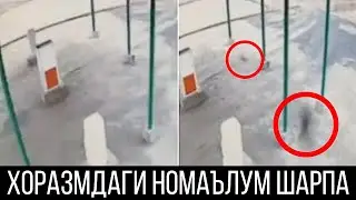 Камерага Тасвирига Тушиб Колган Номаълум Махлуклар