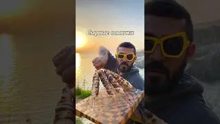 Сулугуни  