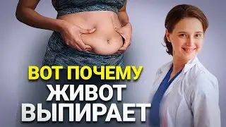 Выпирающий живот, как НАЙТИ и УСТРАНИТЬ основную ПРИЧИНУ?