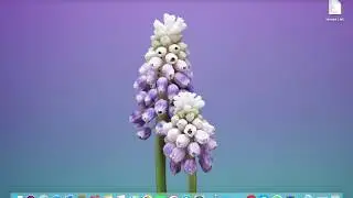 How to Add Shadow On View In IOS Swift 4.2 and XCode 10.1