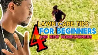 4 LAWN CARE TIPS FOR BEGINNERS | AND NEW HOMEOWNERS!