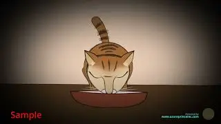Stop Animal Abuse (Animation)