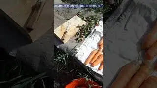 97. Помылась в РАРИТЕТЕ