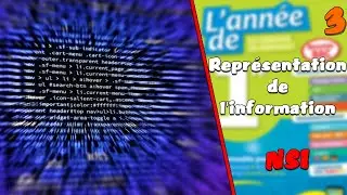 LES COURS DE L'EDS NSI #3: Représentation de l'information (1ère)