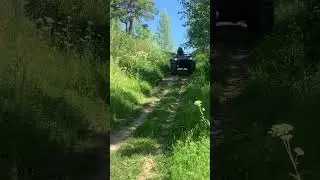 8 июля 2024 г.