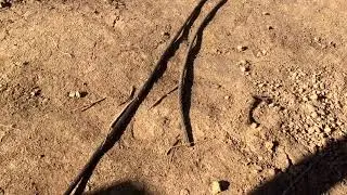 Сваебой-на грани технического прогресса