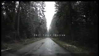 Ayrılırken - Ümit Yaşar Oğuzcan
