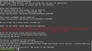 Loading Microsoft SQL Server 2019 and Visual Studio Code on Linux Mint 20