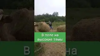 В поле разговоры на высокие темы - д. Канаш Респ. Башкирия