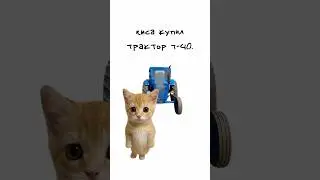 Kisa bought a T-40 tractor 