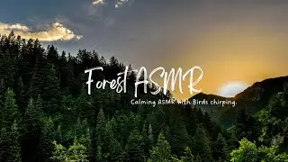 Forest ASMR + Bird's Chirping