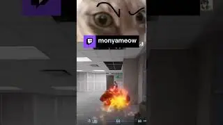 раздала люля кебаб  | поддержи меня подпиской на twitch, мой ник monyameow. просмотры подписок 0((