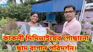 কাকলী দত্তবসু দিদিভাইয়ের গোছানো ছাদ বাগান পরিদর্শন/@Banchharamerbagan/বাঞ্ছারাম এর বাগান