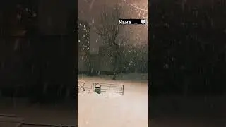 Мама