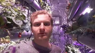 Клубничная ферма на гидропонике под землей deepsun
