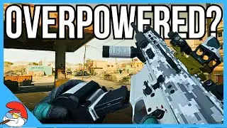 The BEST Long Range Assault Rifle in Delta Force Hawk Ops!
