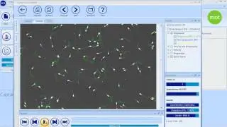 SCA Motility and concentration - CASA System SCA Evolution (Veterinary Edition)