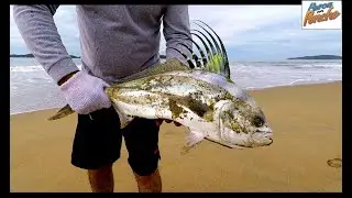 PESCA de ROOSTERFISH y TIGRES en las rocas - SURF FISHING - Ep. 10
