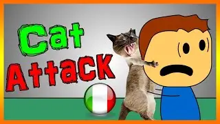 Gatto all'attacco | BREWSTEW ITA