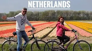 Visiting the Netherlands.🇳🇱 | Utrech, Gouda, Keukenhof Tulip Festival, Amsterdam and Rotterdam.