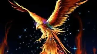 🔥Phoenixes Tribute - Burn🔥