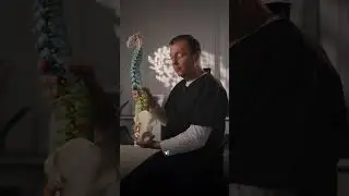 Травма копчика: что нужно знать?
