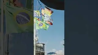 10 августа 2024 г.
