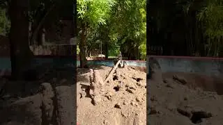 Впервые вижу такое