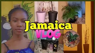DITL Vlog| Office Tour + New Plants 🪴 | life in JA 🇯🇲