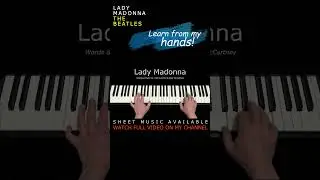 Lady Madonna (The Beatles) - Piano Arrangement #beatlescover