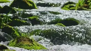 River Water 2025