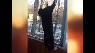 Шухер,ребята! Шухер!!!)))