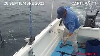 PESCANDO WAHOO     28 SEPT 2022   CAPTURA  # 1